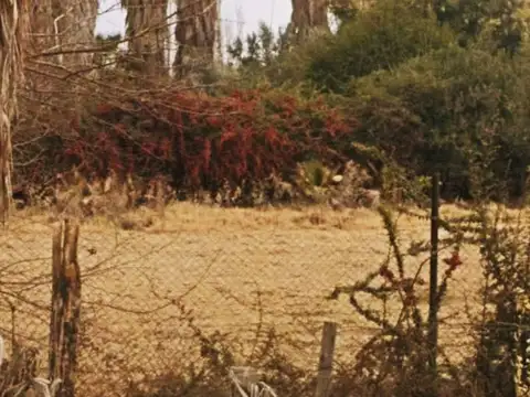 Terreno en Venta de 950,0 m2