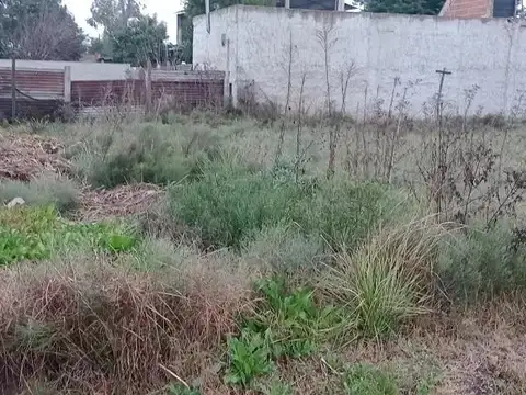 Lanin e/ Las Flores y Besares