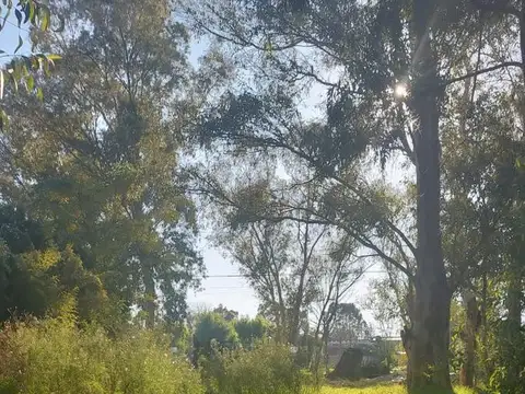 Terreno en Venta 15  mts Frente