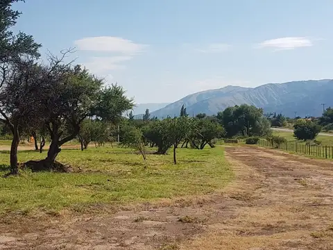 Terreno en Venta de 811,0 m2