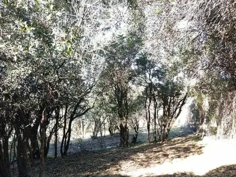 Terreno en Venta en Salsipuedes, USD 15.000