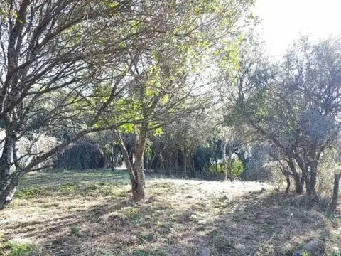 VENTA LOTE ORO VERDE SALSIPUEDES 700M2