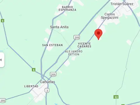 MENDOZA Y MOCOVIS 100