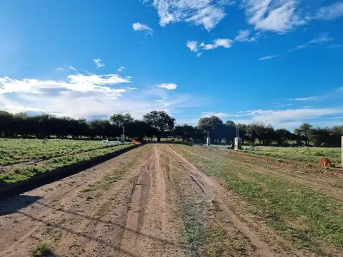 Belgrano - Ayres de Anguil