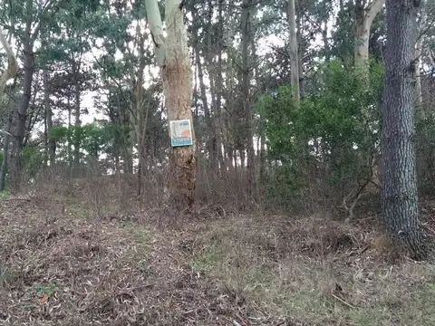 Terreno en Venta en Las Gaviotas, USD 39.000