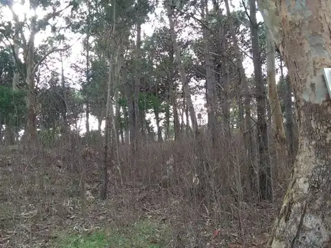 Lote Unifamiliar  (L136) OPORTUNIDAD