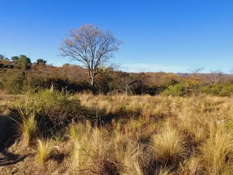 Terreno en Venta de 625,0 m2