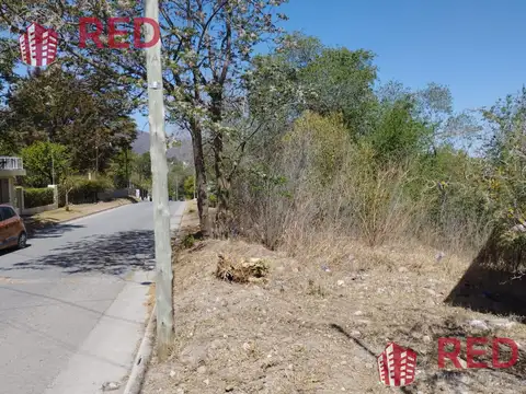 juan domingo perón 300