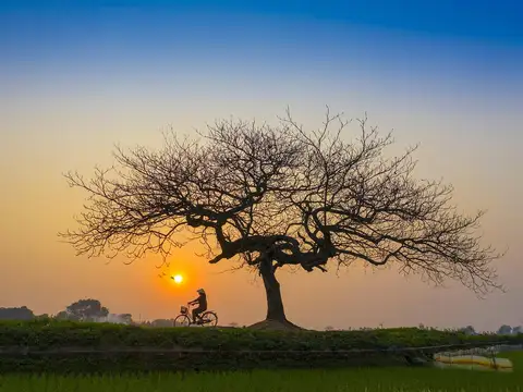 Oportunidad! Vendo Terreno 540 m2 en Vida Green