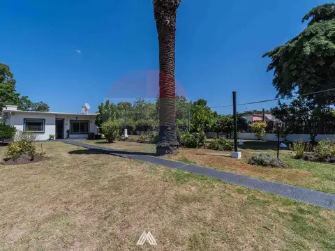 Camino Pettirossi 5000