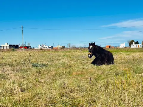 Terreno en Venta en Nueva Atlantis, USD 17.000