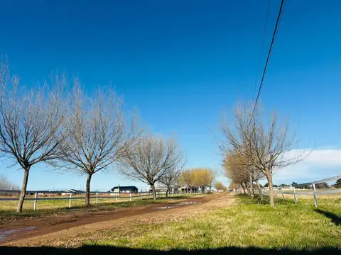 Terreno en Venta de 600,0 m2