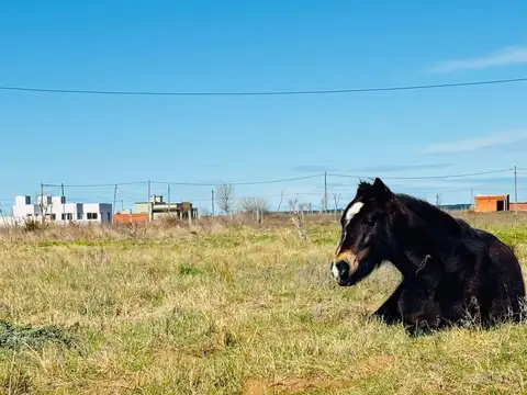 Terreno en venta - 600Mts2 - Nueva Atlantis