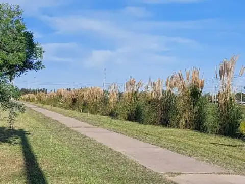 VENTA TERRENO PALMARES 4