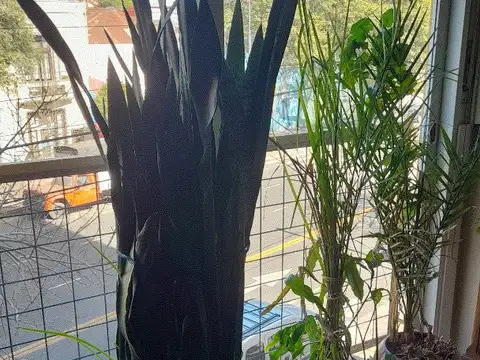 Departamento en Venta en Barracas, USD 132.000