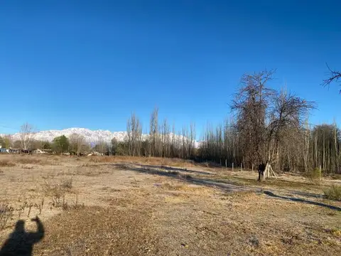 Terreno en Venta de 11600,0 m2