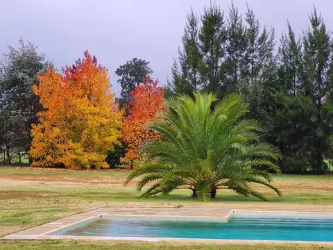 CASA QUINTA - 4 DORM. 3 BAÑOS - PILETA - 1 HAS. DE PARQUE - CLORINDO TESTA - LOBOS -