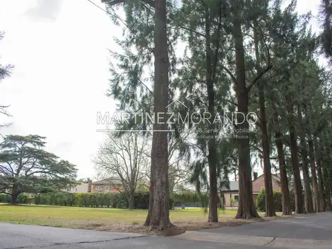 Terreno en Venta de 950,0 m2