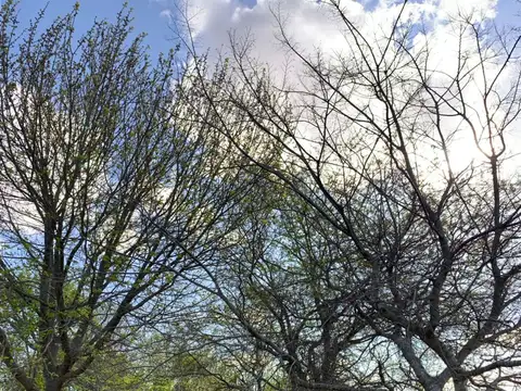 8 entre 404 bis y 406 100