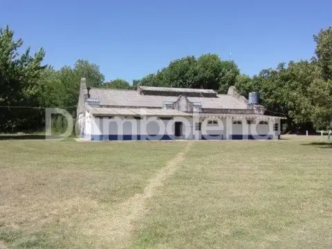 Terreno en Venta de 230000,0 m2