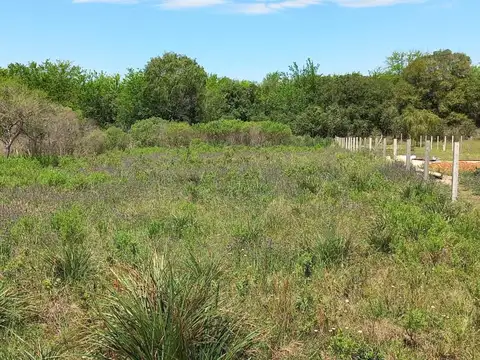 LOTES EN VENTA! DE 720 mts2!