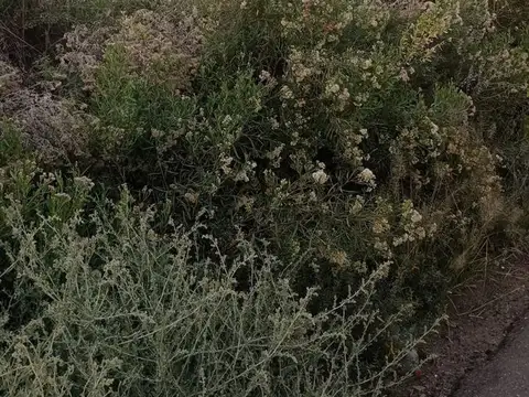 Terreno en Venta de 5000,0 m2