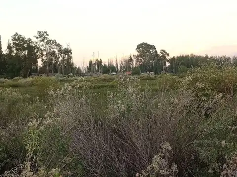 Terreno en Venta en Rodeo de la Cruz, USD 15.000