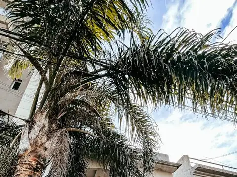 Cnel R L Falcon 6200