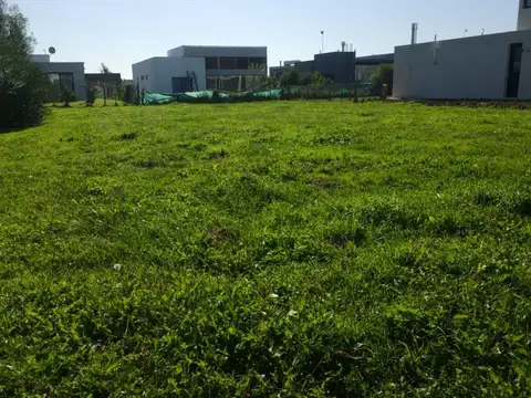 Terreno en Venta de 620,0 m2