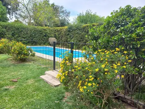 Williams al 800 Lote 19