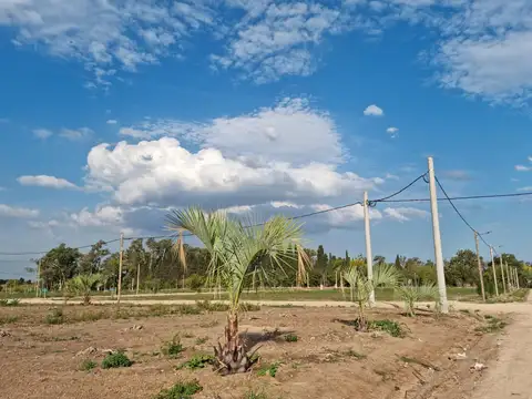 Venta Terreno Longchamps - Barrio "La Arbolada" Lote