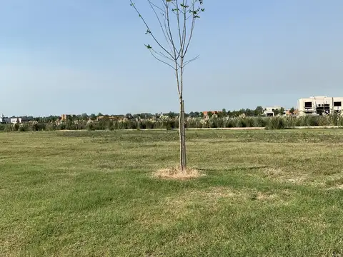 Terreno en Venta 20  mts Frente