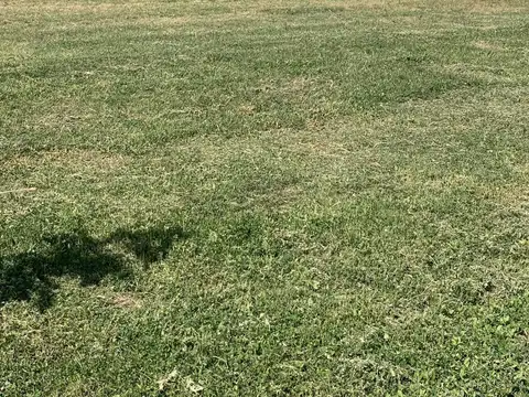 Terreno en Venta de 911,0 m2