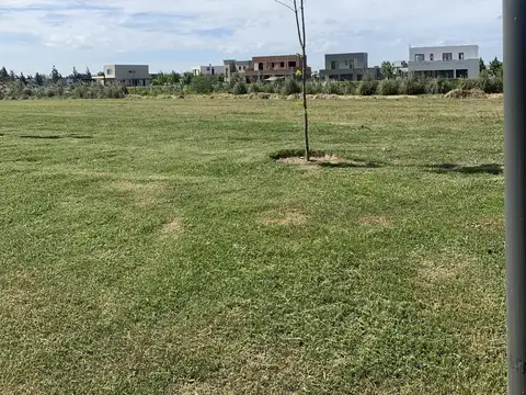 Terreno en Venta 45  mts Fondo