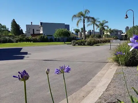 HARAS MARIA VICTORIA