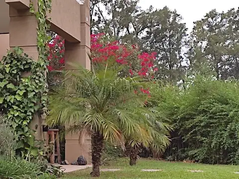 Azahares del Paraná