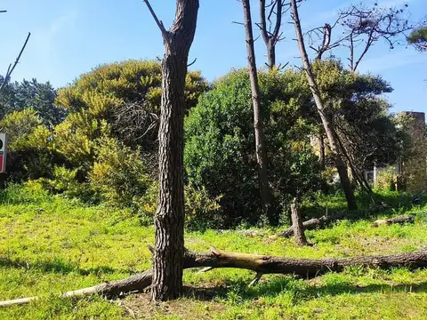 Terreno en Venta 15  mts Fondo