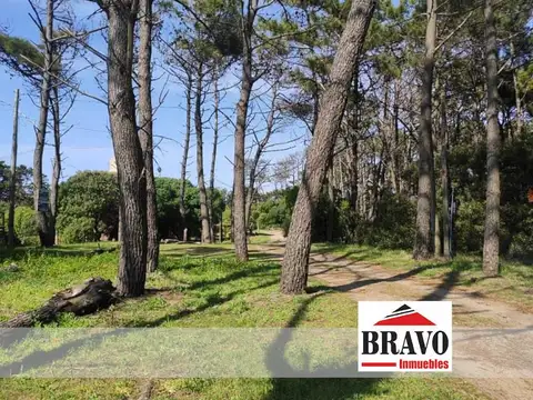 LOTE UNIFAMILIAR DE 675 M2 SOBRE PLAYA - Mar de las Pampas | Cod.0681 |