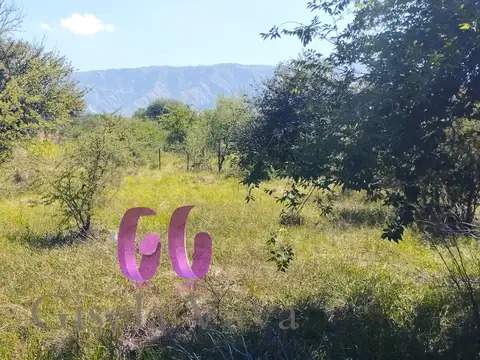 LOTE en CARPINTERÍA – SAN LUIS