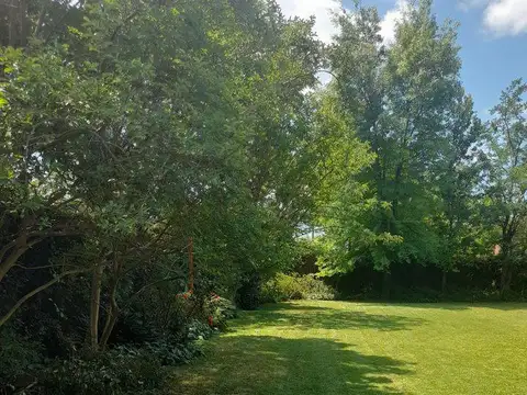 Doctor Gines de la Quintana e/ Lobos y Avenida General José Maria Zapiola