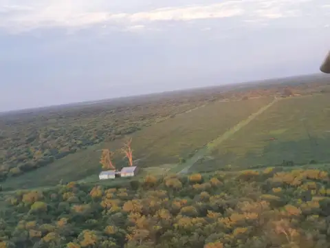 Tostado  (Santa  Fe)- 305 Has