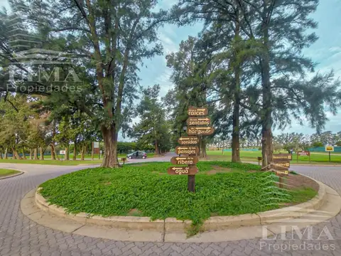 Azahares del Paraná