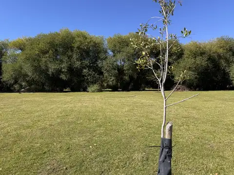 Terreno en Venta 100  mts Fondo