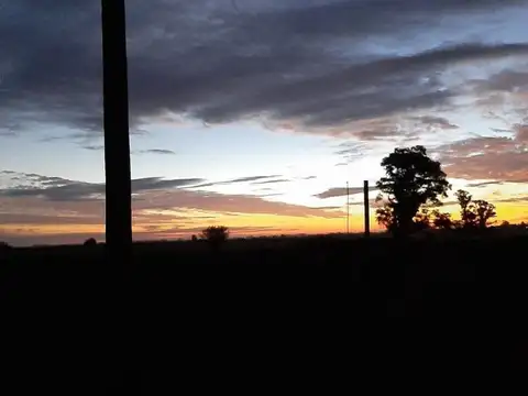 31,12 HECTAREAS EN VENTA Y POSIBILIDAD TOMAR MTS O PERMUTA.