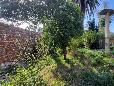 Terreno en Venta 38,50  mts Fondo