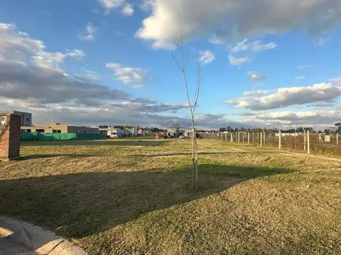 Leandro Niceforo Alem 3000