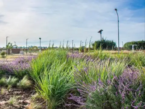 Terreno en Villa Amelia