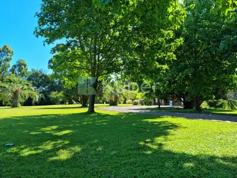 Terreno apto comercial  en Venta en Punta Ballena, Punta del Este