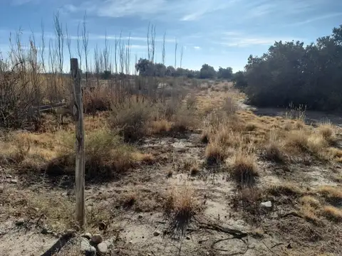 VENDO LOTE ELMARTILLO RIVADAVIA