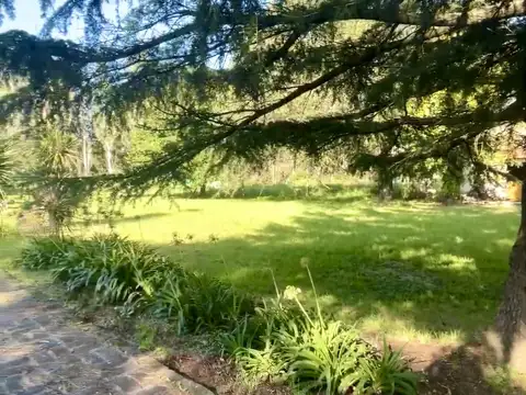 Terrenos y Lotes en Venta en Villa Elisa [Cod: 0020]